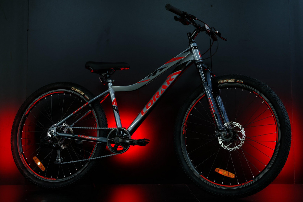 LORAK Safe 26 Серый/Красный